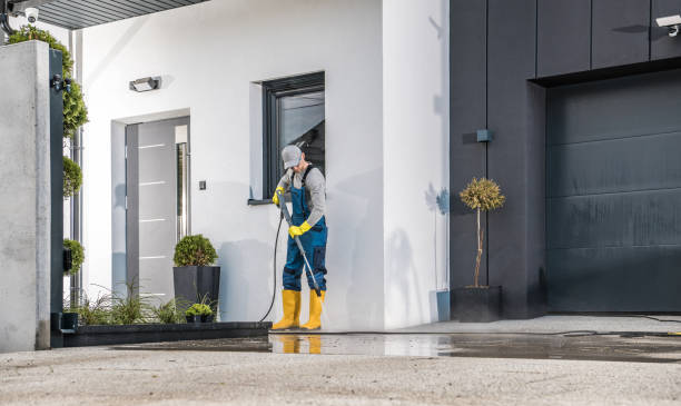 Best Patio and Deck Pressure Washing  in Bayard, NM